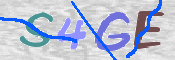 CAPTCHA-Bild